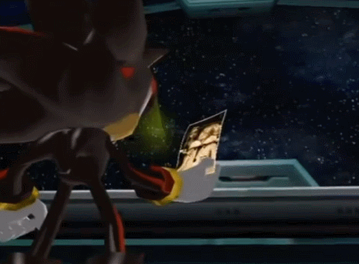 Shadow is holding a photo. He says, Goodbye forever, Shadow the Hedgehog.
